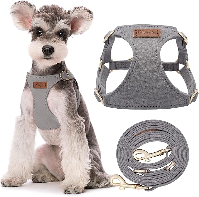 Puppytie No Pull Small Dog Harness with Multifunction Dog Leash,Lightweight Soft Adjustable No Choke Escape Proof Pet Harness Vest Pet Harness Vest,Silver Grey,S-Mewly Pet