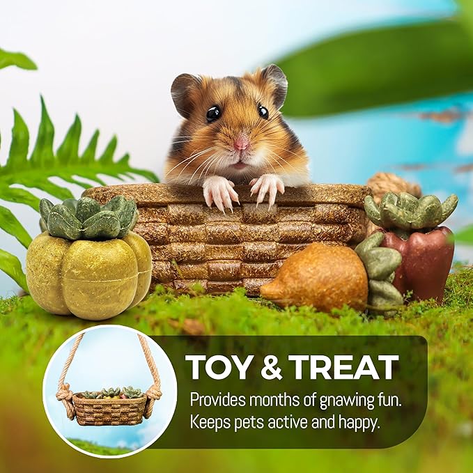 TEEWY Guinea Pig Chew Toys, Prevent Teeth Overgrowth, Natural Vegetables and Timothy Grass, Hamster Chew Toys, Chinchillas, Gerbils, Ha, Rabbit Rodents Teeth Care, Fruits & Vegetables & Basket Set-Mewly Pet