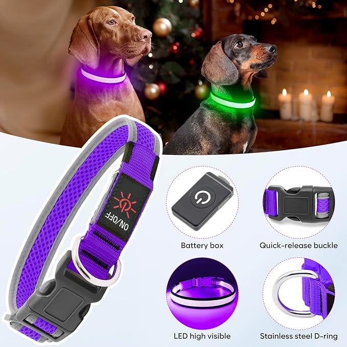 Flashseen LED Dog Collar, Light Up Dog Collar Light USB Rechargeable, Adjustable Comfortable Soft Mesh Safety Collar for Small, Medium, Large Dogs(Large, Purple)-Mewly Pet