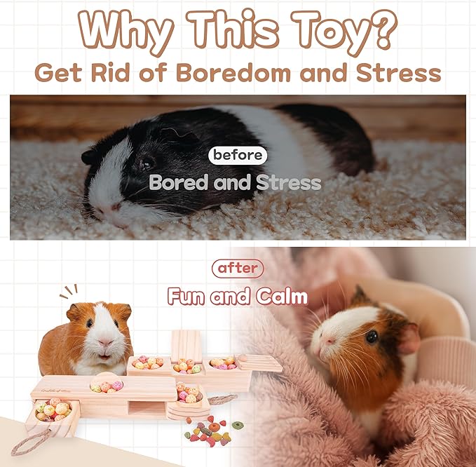 SoulThink® Interactive Guinea Pig Toys - Wooden Rat Toys for Pet Rats, Enrichment & Foraging Activity for Hamster Sniff n' Snack Puzzle for All Small Rodents (2 Sets)-Mewly Pet