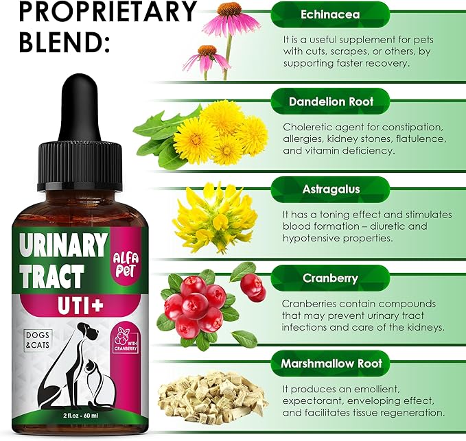 Сat Urinary Tract Infection Treatment with Cranberry – Dog UTI Treatment to Care for Bladder – Cat UTI Treatment for Kidneys – Preventive Support for Renal Health in Drops – 2 Oz-Mewly Pet