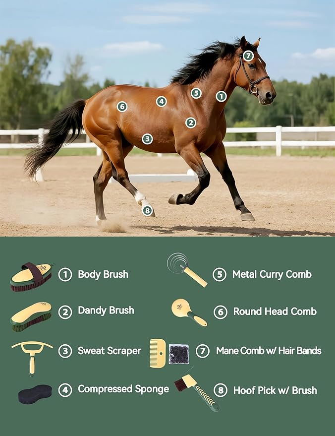 9PCS Horse Grooming Kit Curry Comb Sweat Scraper Horse Bathing Supplies Grooming Tools with Storage Bag Pasture Glow-Mewly Pet