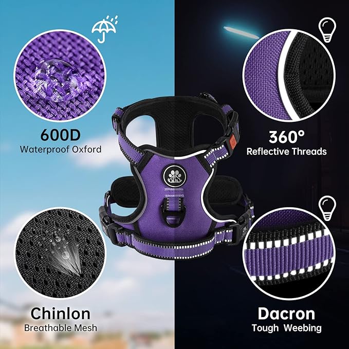 NESTROAD No Pull Dog Harness,Adjustable Oxford Dog Vest Harness with Leash,Reflective No-Choke Pet Harness with Easy Control Soft Handle for Small Dogs(Small,Purple)-Mewly Pet