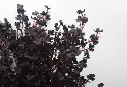 20pcs Babys Breath Artificial Flowers Gypsophila Bouquet Bulk Fake Spring Silk Small Flowers Real Touch Faux Floral for Home Kitchen Garden Wedding Christmas Halloween Party DIY Decor (Black)