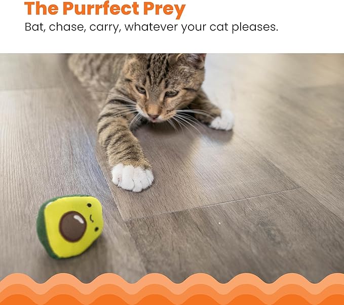 Catstages Lil' Avocato Cat Toy, Interactive Plush Avocado with Catnip, Kicker & Chew Toy for Indoor Cats, Encourages Active Play, Mental Stimulation, Dental Health, and Solo Fun, Green-Mewly Pet