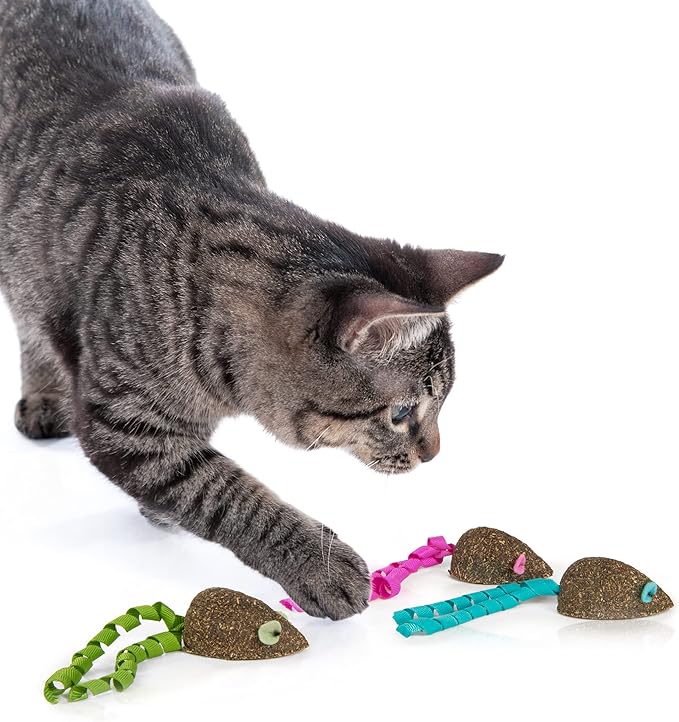 SmartyKat (3 Count) Magic Mice Compressed Catnip Ribbon Cat Toys - Green/Pink/Blue, 3 Count-Mewly Pet