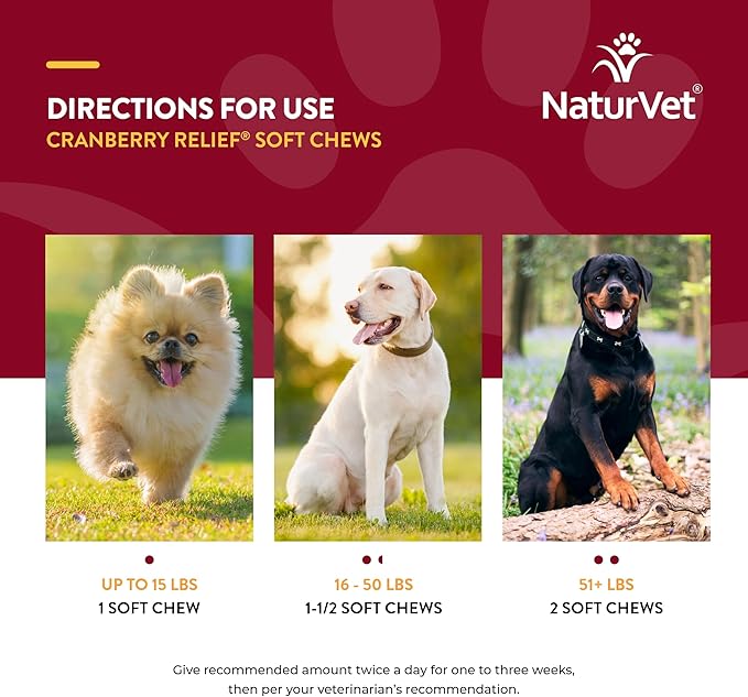 NaturVet – Cranberry Relief Plus Echinacea – Helps Support a Healthy Urinary Tract & Immune System – 60 Soft Chews-Mewly Pet