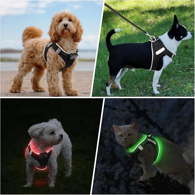 PceoTllar Light Up Dog Harness, LED No Pull Reflective Dog Harness, Flashing Lighted for Night Walking - Small/Medium, (Black Red,L)-Mewly Pet