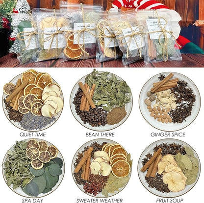 Potpourri Simmering, Set of 6 Stovetop Potpourri: Quiet Time, Spa Day, Ginger Spice, Fruit Soup, Bean There, Sweater Weather, Simmer Pot Ingredients for Home Fragrance, Housewarming, Hostess Gift