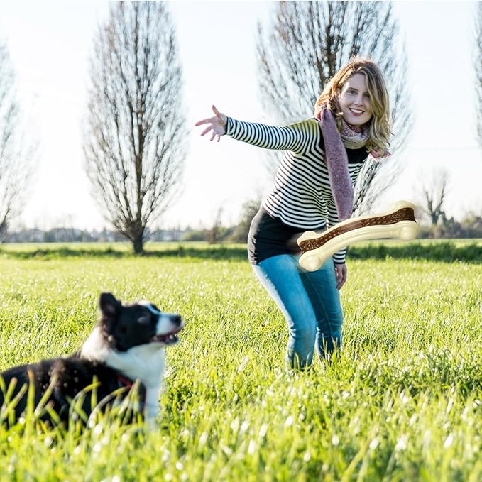 Sosation 6 Pcs Dog Toys for Aggressive Chewers Nylon Beef Flavor Bones Tough Puppy Teething Toys Puppy Chew Bones for Large Medium Small Breed Dogs Puppies Pets Chew Toys(Small)-Mewly Pet