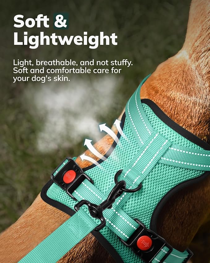 MIDOG No-Pull Dog Harness | Adjustable & Reflective Pet Harness Leash Set for Small Medium Large Dogs Walking, Training| No Choke, Front Clip, Soft Padded Vest with Easy Control Handle - Green, M-Mewly Pet