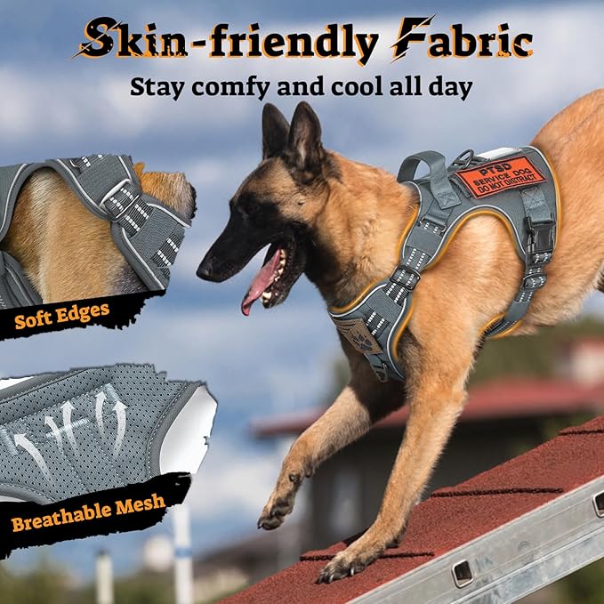 rabbitgoo Dog Harness Medium Sized No Pull, Tactical Service Pet Vest with Molle and Control Handle, Adjustable and Reflective Military Harness for Easy Walking and Training, Grey, M-Mewly Pet