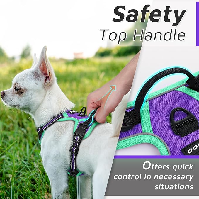 Eagloo Small Dog Harness No Pull, Service Vest with Reflective Strips and Control Handle, Adjustable and Comfortable for Walking, No Choke Pet Harness with 2 Metal Rings, Purple & Green, XS-Mewly Pet