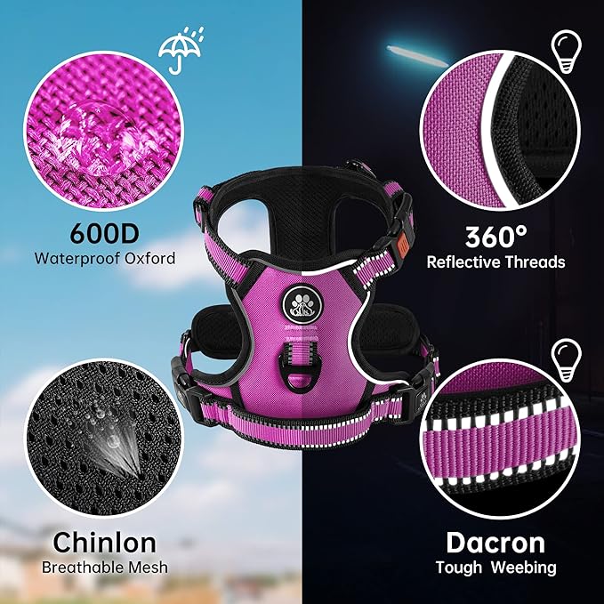 NESTROAD No Pull Dog Harness,Adjustable Oxford Dog Vest Harness with Leash,Reflective No-Choke Pet Harness with Easy Control Soft Handle for Small Dogs(Small,Fuchsia Pink)-Mewly Pet