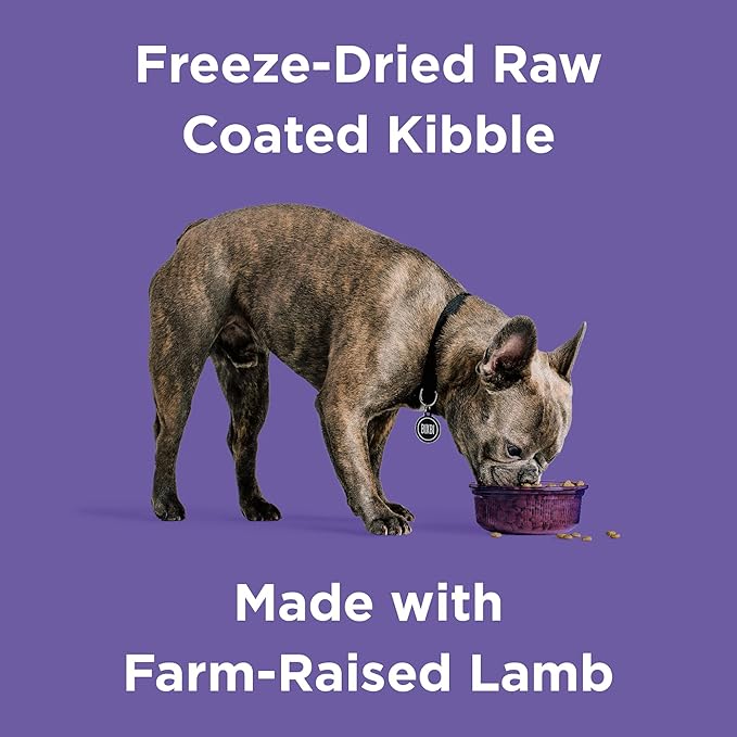 BIXBI Rawbble Dry Dog Food, Lamb, 24 lbs - USA Made with Fresh Meat - No Meat Meal & No Corn, Soy or Wheat - Freeze Dried Raw Coated Dog Food - Minimally Processed for Superior Digestibility-Mewly Pet