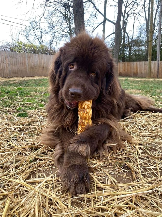 Redbarn Pet Products All-Natural Small/Medium Beef Cheek Rolls for Dogs, Chicken & Carrot Glazed - Single Ingredient Grain-Free Chew Treat Naturally Rich in Collagen - 5 Pack - Packaging May Vary-Mewly Pet