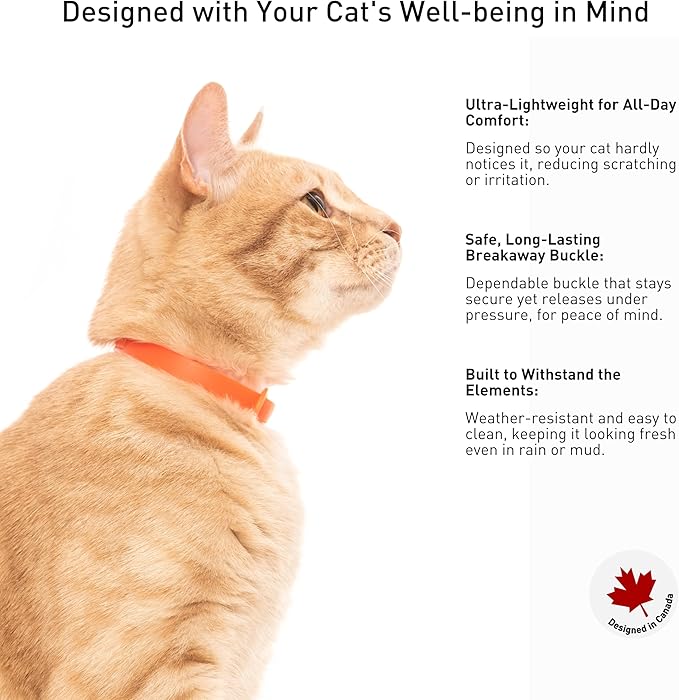 5 Pack Breakaway Cat Collar - Soft, Comfortable, and Lightweight Safety Buckle Collar with ID Tag Ring for Outdoor Cats and Kittens by Nuvuq (6 ⅞" to 10 ¼", Red, Orange, Pink, Blue and Black)-Mewly Pet