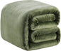 Polar Fleece Blankets Travel Size for The Bed Extra Soft Brush Fabric Super Warm Sofa Blanket 50" x 61"(Green Travel)