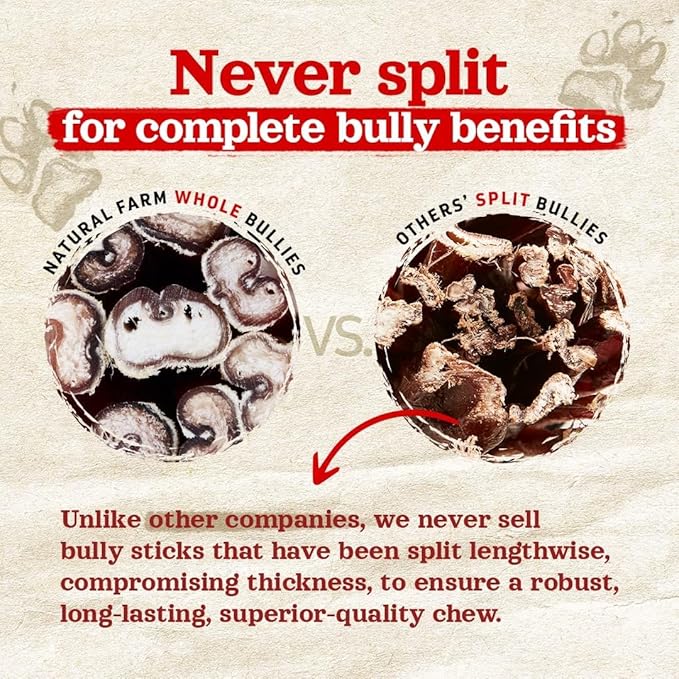 Natural Farm Odor-Free Thick Bully Sticks (12”, 10-Pack) All-Natural Long-Lasting Dog Chews, 100% Beef Pizzle, Grass-Fed, Grain-Free, Protein for Muscle Development & Energy, Perfect for Large Dogs-Mewly Pet