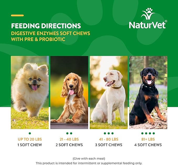 NaturVet – Digestive Enzymes - Plus Probiotics & Prebiotics – Helps Support Diet Change & A Healthy Digestive Tract – for Dogs (Soft Chews, 70 Count)-Mewly Pet