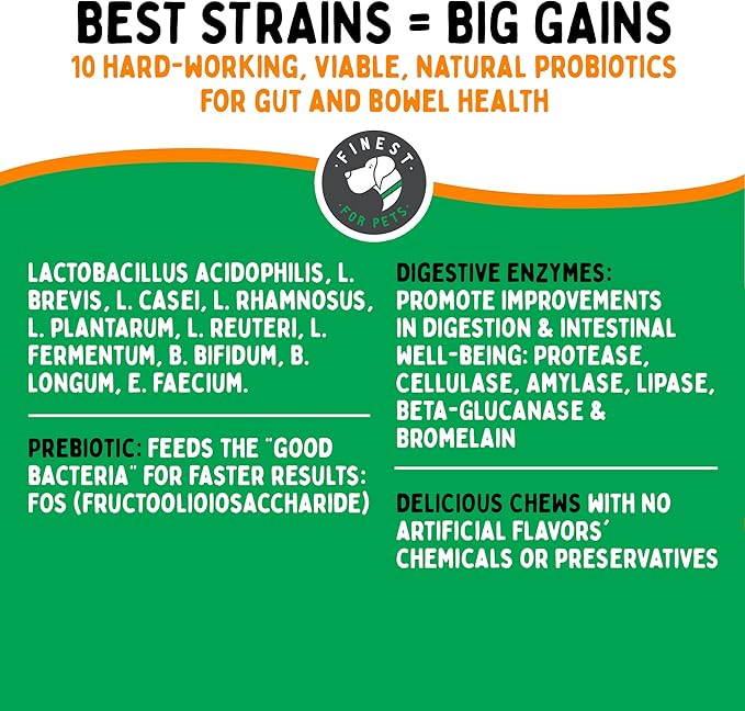 TummyWorks Probiotic 120 Soft Chews for Dogs All Ages - Supports Digestive Health, Relieves Diarrhea, Constipation, Good for Itching, Allergies, Yeast Infections. Added Digestive Enzymes, Made in USA-Mewly Pet
