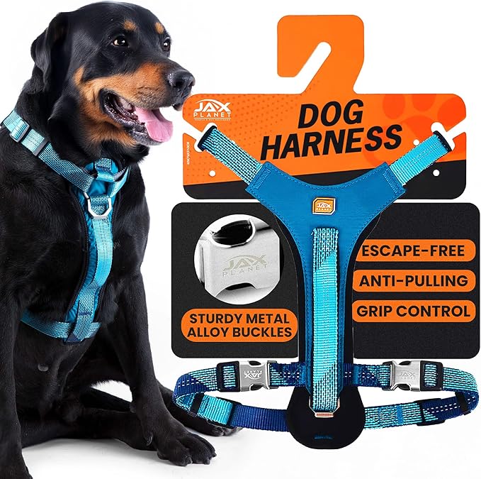 No-Pull Dog Harness with Handle - Escape Proof, Anti-Pulling, Grip Control, Multi-Angle Reflective for Safe Walks & Training, Easy On & Off, Metal Buckle–Pet Harness, Medium/Large Dogs- N H4- Blue-Mewly Pet