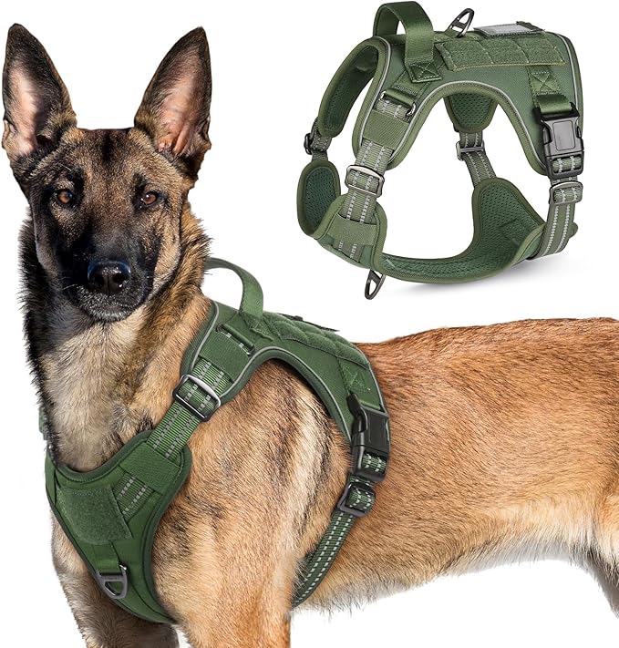 rabbitgoo Tactical Dog Harness for Large Dogs, No Pull Military Service Vest with Handle & Molle, Easy Control for Training Walking, Adjustable Reflective Straps, Green, XL-Mewly Pet