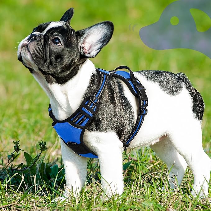 Eagloo Dog Harness Small Sized Dog, No Pull Service Vest with Reflective Strips and Control Handle, Adjustable and Comfortable for Walking, No Choke Pet Harness with 2 Metal Rings, Blue, S-Mewly Pet