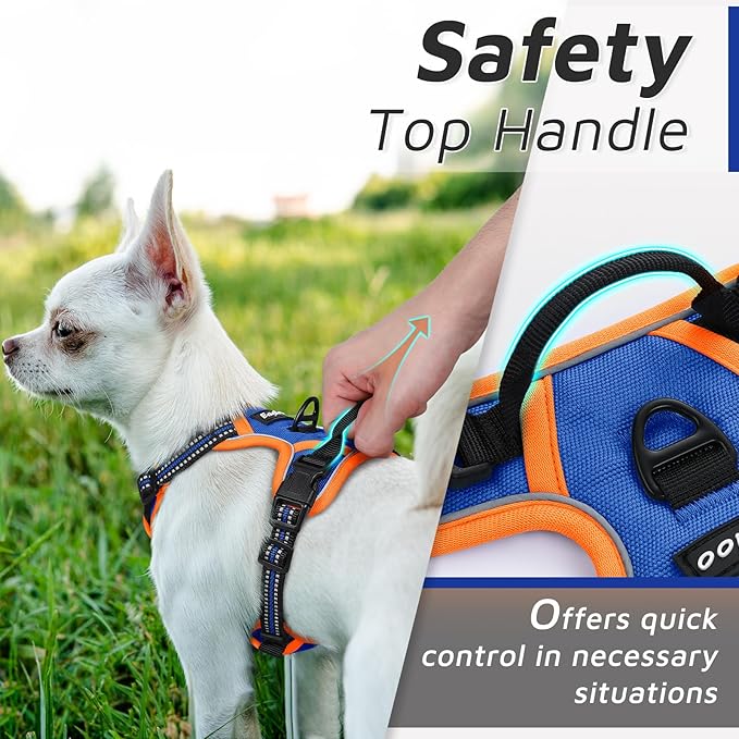 Eagloo Small Dog Harness No Pull, Service Vest with Reflective Strips and Control Handle, Adjustable and Comfortable for Walking, No Choke Pet Harness with 2 Metal Rings, Blue & Orange, XS-Mewly Pet