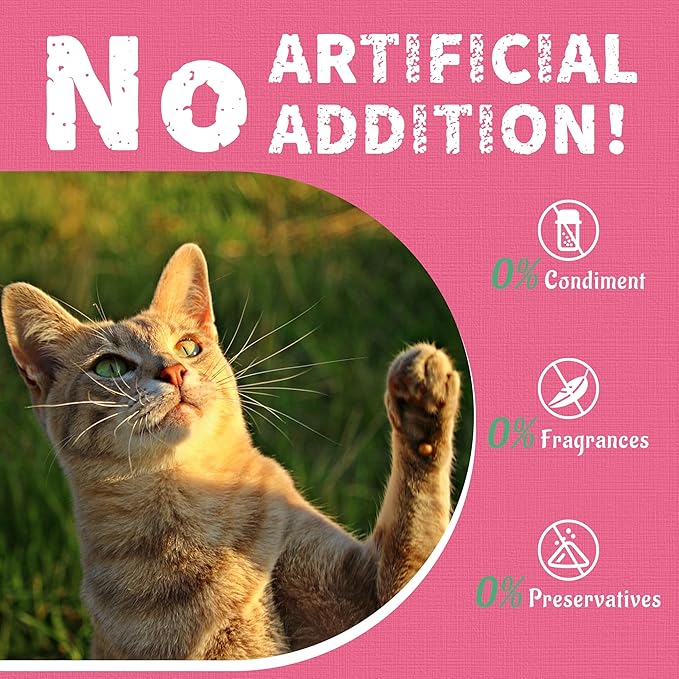 Just Try 13.4 OZ Urinary Tract Cat Treats for Indoor Cats Health Supplement Cranberry & D-Mannose for Kidney Bladder UT Support Salmon Flavor Crunchy Chews Cat Loves-Mewly Pet