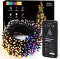BrizLabs Smart Christmas Lights, 33FT 100 LED Color Changing String Lights APP/Voice Control, Warm White & Colored Dimmable Christmas Tree Light Music Fairy Light for Xmas Indoor Outdoor Home Decor