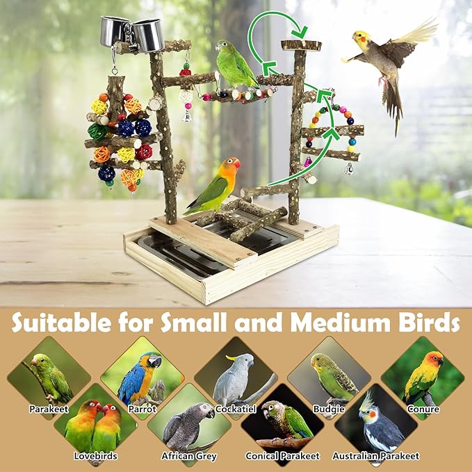Tfwadmx Bird Playground Natural Wood Bird Play Stands Parrot Perch Stand with Removable Tray Climb Ladders Swing Chewing Toys for Lovebirds Cockatiels Budgies-Mewly Pet