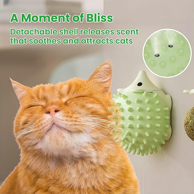 6 Pcs Catnip Ball Toys with Rubbing Shell, Lickable Roller Catnip Toys for Cats Chew, Edible and Refillable Kitten Toys, Teeth Cleaning Dental Indoor Cat Treats Toys, 3 Shells 6 Balls-Mewly Pet