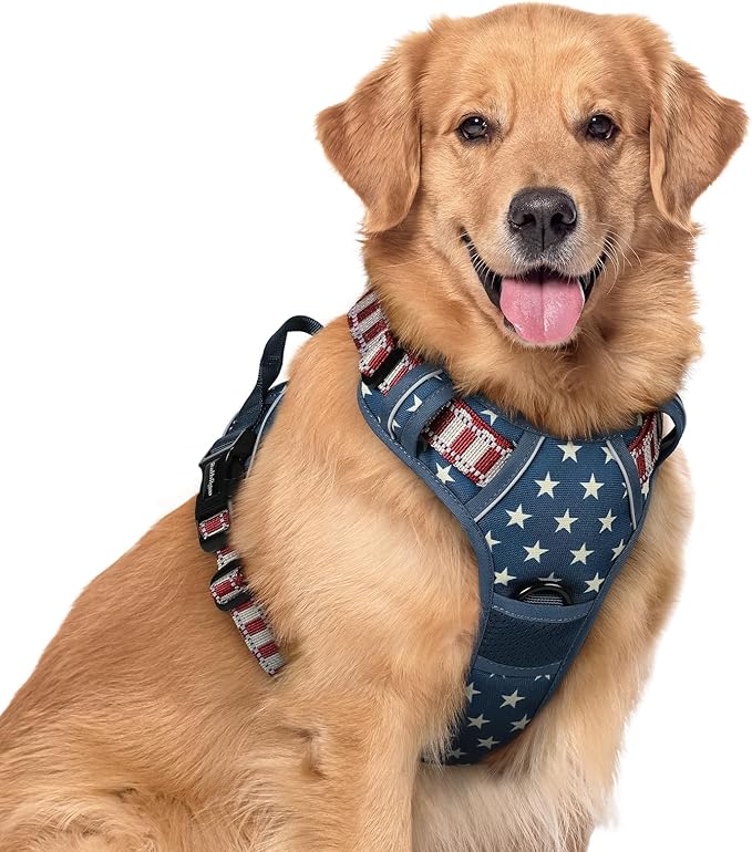 rabbitgoo Dog Harness No Pull with 2 Leash Clips, Adjustable Soft Padded, Reflective Oxford No Choke Pet Vest with Easy Control Handle for Large Dogs, Blue Star, XL-Mewly Pet
