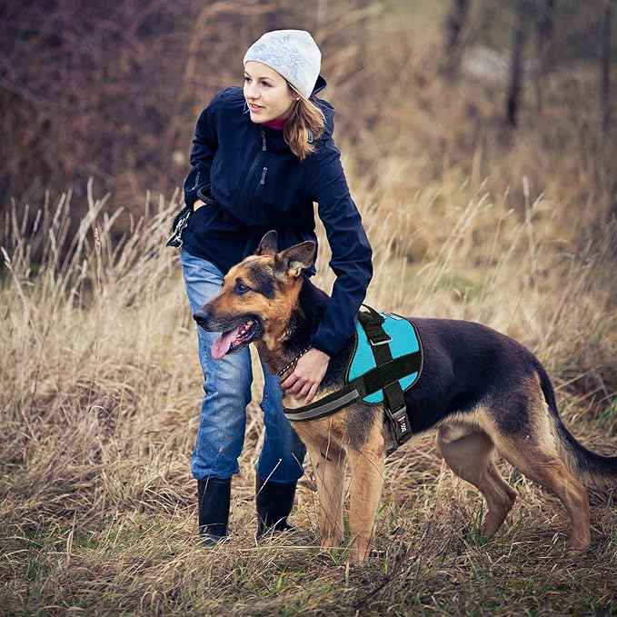 Dogline Dog Harness, Reflective No-Pull Adjustable Vest with Handle for Walking, Training, Breathable, No - Choke Harness for Small, Medium or Large Dogs Room for Patches Girth 22"-28" in Turquoise-Mewly Pet