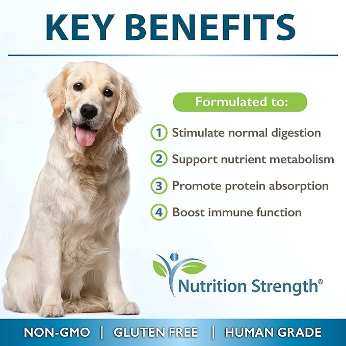 Papaya for Dogs Digestive Enzyme Complex to Support Normal Intestinal Function, Boost Immunity, with Organic Papaya Fruit + Papain, Protease & Amylase, 90 Soft Chews-Mewly Pet