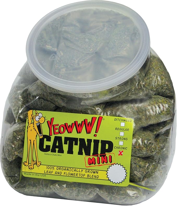 Yeowww! Jug with 50 Mini's Catnip Toys-Mewly Pet