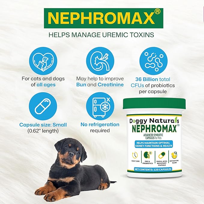 NEPHROMAX™ Kidney Support Supplement Cats 360-Mewly Pet