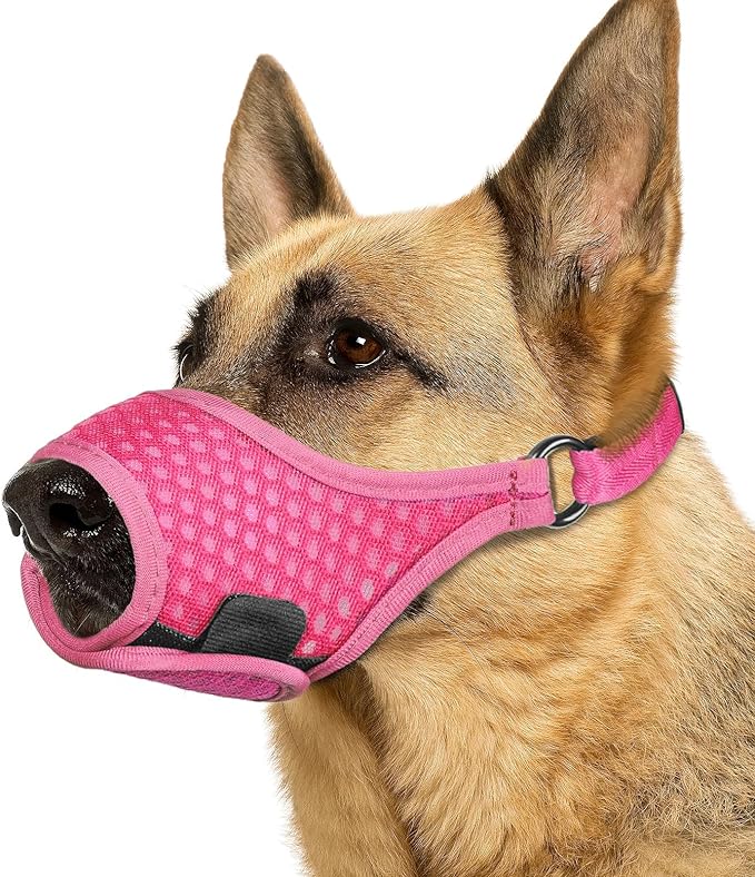 LUCKYPAW Dog Muzzle, Soft Muzzles for Large Medium Small Dogs to Prevent Biting Chewing with Ring and Adjustable Strap for Vet Visit Training (Hot Pink, M)-Mewly Pet