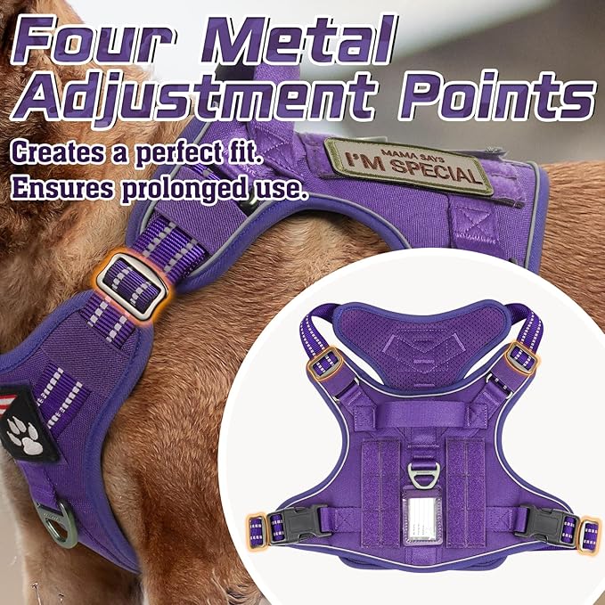 rabbitgoo Tactical Dog Harness for Large Dogs, No Pull Military Service Vest with Handle & Molle, Easy Control for Training Walking, Adjustable Reflective Straps, Purple, XL-Mewly Pet