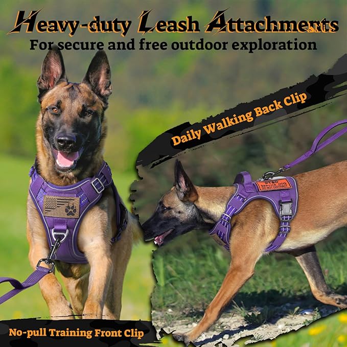 rabbitgoo Dog Harness Medium Sized No Pull, Tactical Service Pet Vest with Molle and Control Handle, Adjustable and Reflective Military Harness for Easy Walking and Training, Purple, M-Mewly Pet