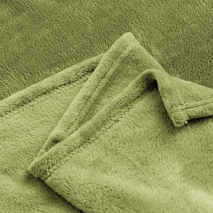 BEDELITE Fleece Blanket Twin Size Sage Green Throw Blanket for Couch & Bed, Luxury Plush Cozy Fuzzy Blanket 60x80 inches, Super Soft Warm Lightweight Throw Blanket for Travel Camping