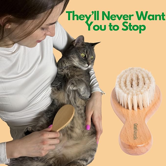 GranNaturals Boar Bristle Soft Cat Brush for Indoor, Outdoor, Short Haired Cats, Kittens, Small Dog, Rabbit, Furry Pets - Gentle Grooming on Sensitive Hair Coat & Tail with Durable Wooden Handle-Mewly Pet