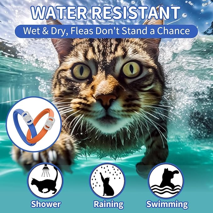 4 Pack Flea and Tick Collar for Cats, 32 Months Flea and Tick Treatment, Flea and Tick Prevention, Waterproof, Adjustable Flea and Tick Collar for Kittens, Blue & Orange-Mewly Pet