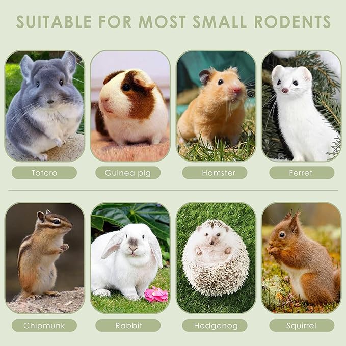 ERKOON Timothy Hay Sticks,Rabbit Chew Toys for Teeth Natural Molar Sticks Rabbits Treats for Bunnies, Chinchilla Guinea Pigs, Gerbil, Hamster (25 Pcs)-Mewly Pet