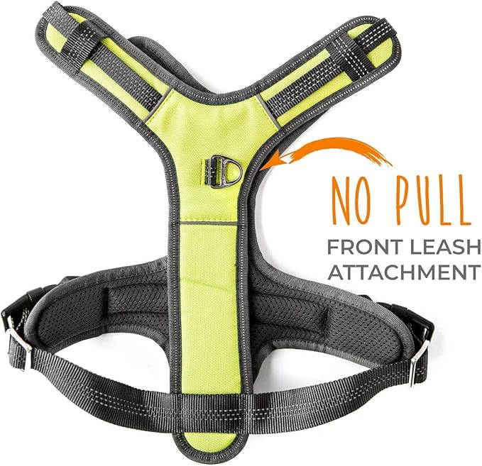 Mighty Paw Sport Harness 2.0 - Padded Canine Accessory - Adjustable Neck and Chest Straps - Enhanced Visibility with Reflective Stitching - Dog Padded Harness with Handle - Large - Green-Mewly Pet