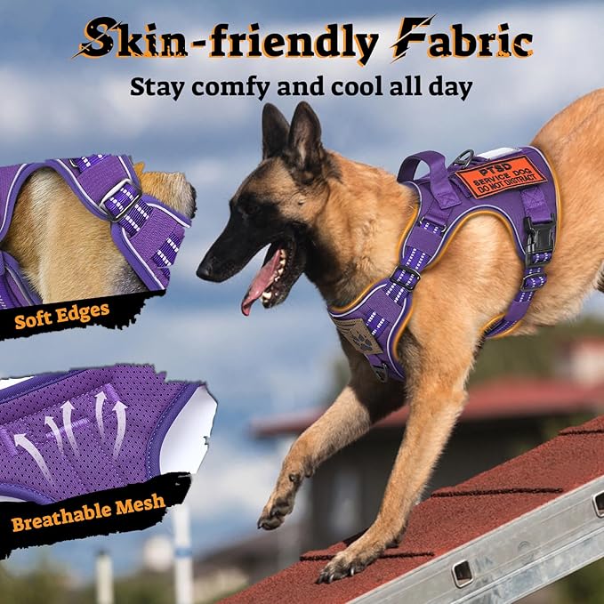 rabbitgoo Dog Harness for Large Dogs No Pull, Tactical Service Pet Vest with Molle and Control Handle, Adjustable and Reflective Military Harness for Easy Walking and Training, Purple, L-Mewly Pet