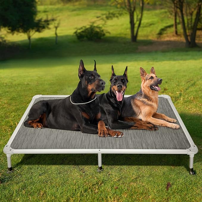 Veehoo Chew Proof Elevated Dog Bed - Cooling Raised Pet Cot - Silver Aluminum Frame and Durable Textilene Mesh Fabric, Unique Designed No-Slip Feet for Indoor or Outdoor Use, Black Silver, XX Large-Mewly Pet