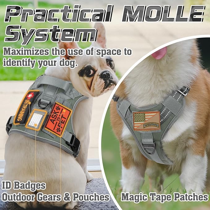 rabbitgoo Tactical Dog Harness for Small Dogs, No Pull Military Service Vest with Handle & Molle, Easy Control for Training Walking, Adjustable Reflective Straps, Dark Grey, S-Mewly Pet
