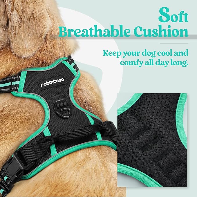 rabbitgoo Dog Harness No Pull with 2 Leash Clips, Adjustable Soft Padded, Reflective Oxford No Choke Pet Vest with Easy Control Handle for Large Dogs, Black & Turquoise, L-Mewly Pet